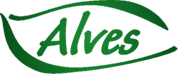 Logo 36